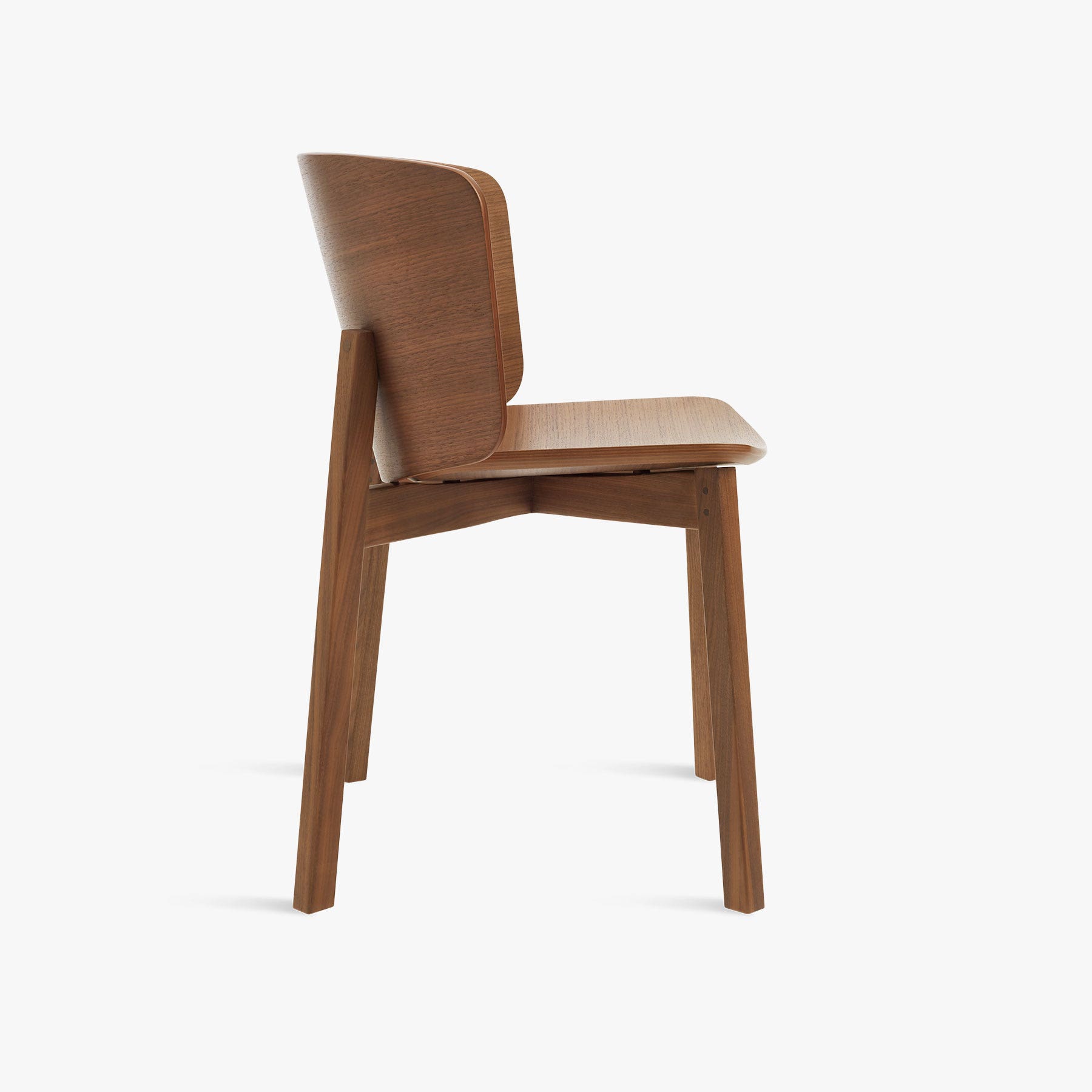 buddy dining chair